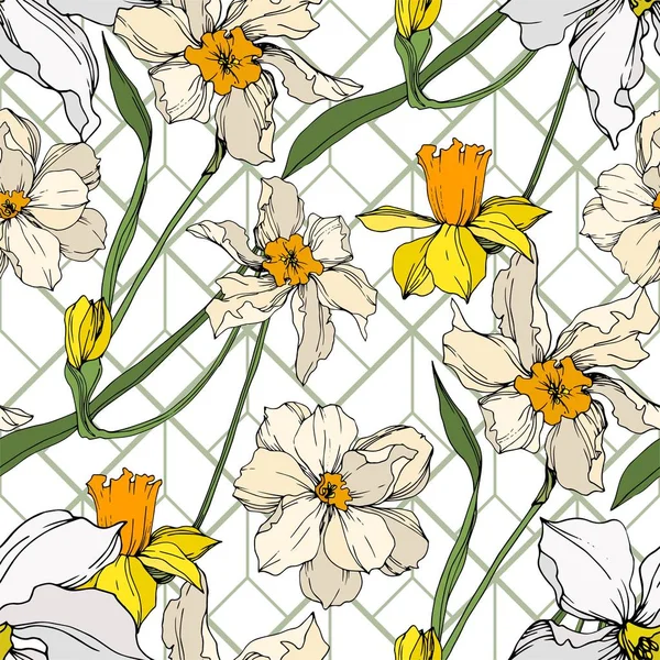 Vetor Narciso flores botânicas florais. Tinta gravada a preto e branco. Padrão de fundo sem costura . —  Vetores de Stock
