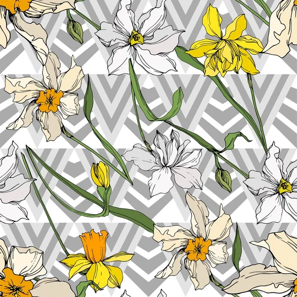 Vector Narcissus flores botánicas florales. Tinta grabada en blanco y negro. Patrón de fondo sin costuras . — Vector de stock