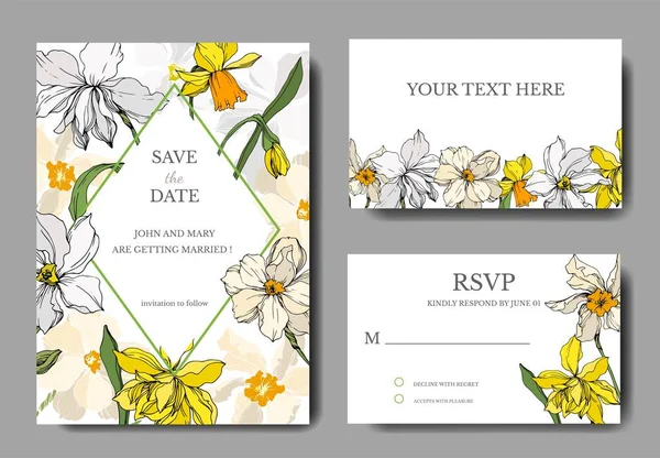 Vektor Narcissus blommiga botaniska blommor. Svart och vit graverad bläck konst. Bröllop bakgrunds kort dekorativa gränsen. — Stock vektor