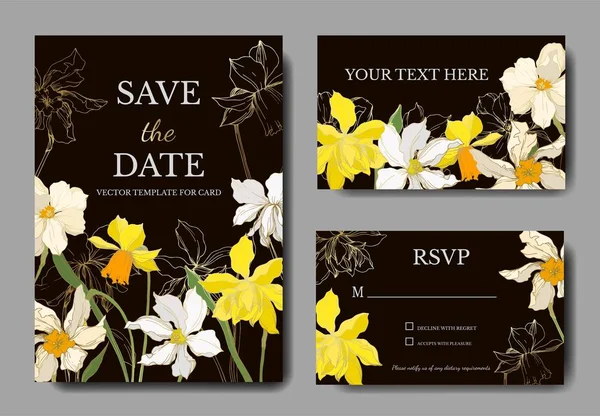 Vector Narcissus flores botánicas florales. Tinta grabada en blanco y negro. Boda tarjeta de fondo borde decorativo . — Vector de stock