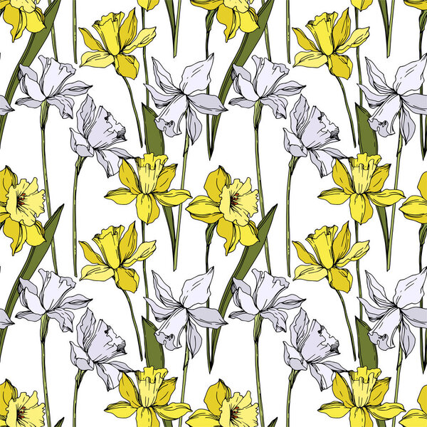 Vector Narcissus floral botanical flowers. Black and white engraved ink art. Seamless background pattern.