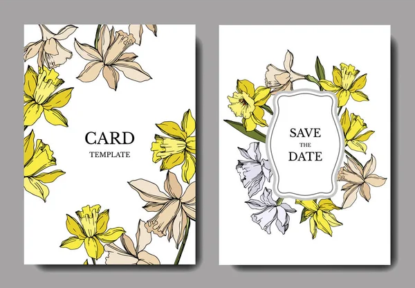 Vetor Narciso flores botânicas florais. Tinta gravada a preto e branco. Casamento cartão de fundo borda decorativa . —  Vetores de Stock