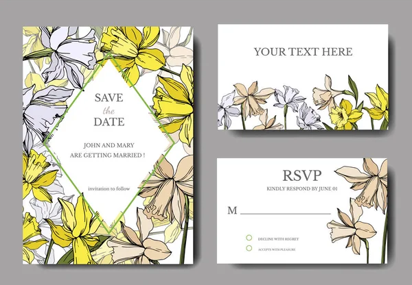 Vector Narcissus flores botánicas florales. Tinta grabada en blanco y negro. Boda tarjeta de fondo borde decorativo . — Vector de stock