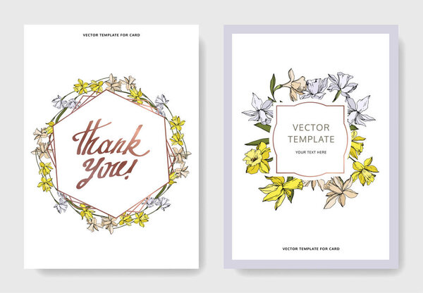 Вектор Нарцисс цветочные ботанические цветы. Черно-белый рисунок чернил. Декоративная граница свадебной карточки
.