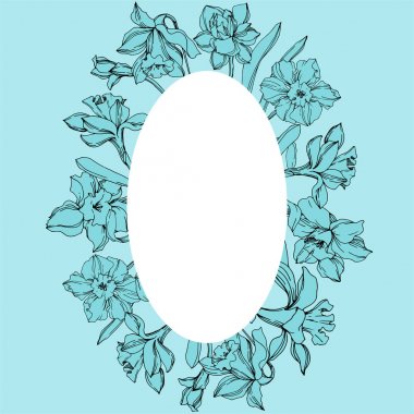 Vektör Narcissus çiçek botanik çiçek. Siyah ve beyaz oyulmuş mürekkep sanatı. Çerçeve kenarlık süs karesi.