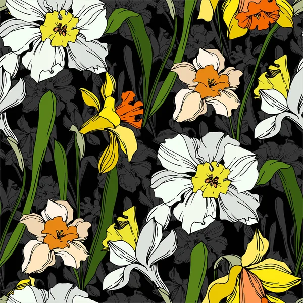 Vektor Narcissus virágos botanikus virág. Fekete-fehér vésett tinta Art. Folytonos háttérmintázat. — Stock Vector