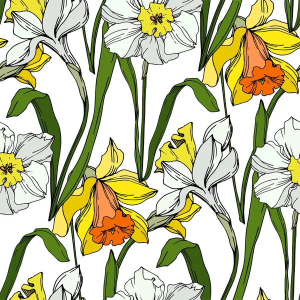 Vektor Narzisse florale botanische Blume. Schwarz-weiß gestochene Tuschekunst. nahtloses Hintergrundmuster. — Stockvektor