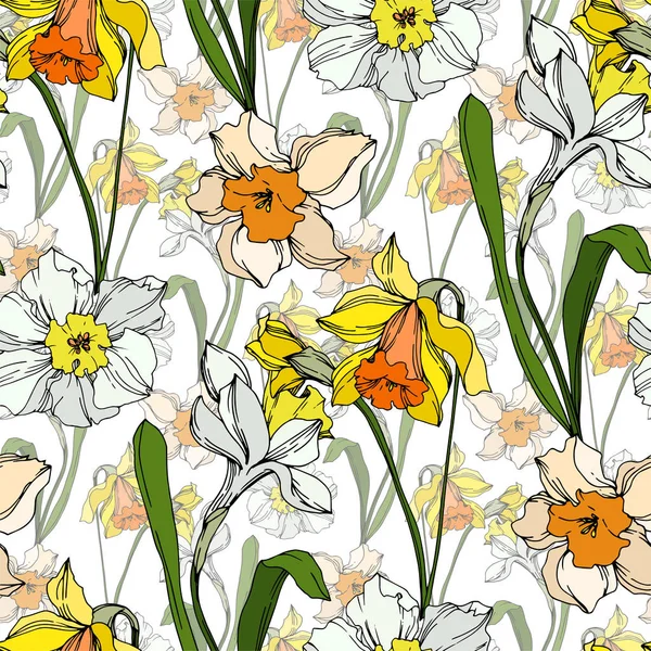 Vektor Narcissus blommig botanisk blomma. Svart och vit graverad bläck konst. Sömlöst bakgrundsmönster. — Stock vektor
