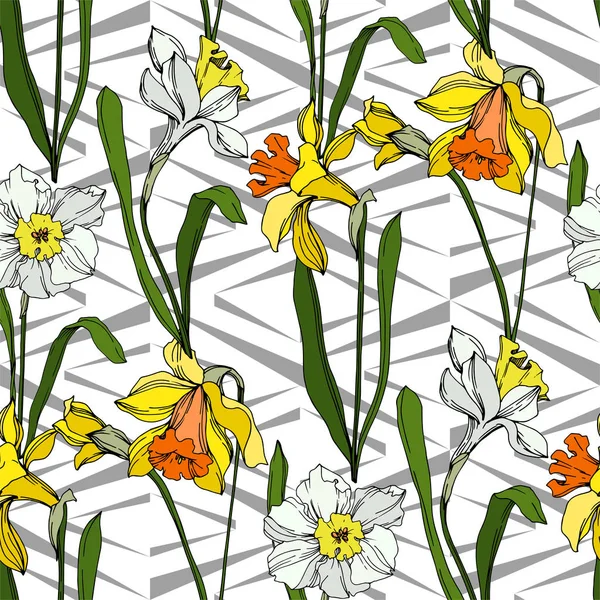 Vector Narcissus kwiatowy kwiat botaniczny. Czarno-biała grawerowana sztuka atramentu. Płynny wzór tła. — Wektor stockowy
