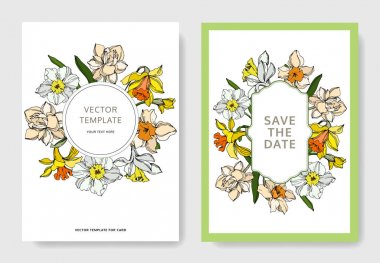 Vector Narcissus floral botanical flower. Black and white engraved ink art. Wedding background card decorative border. clipart