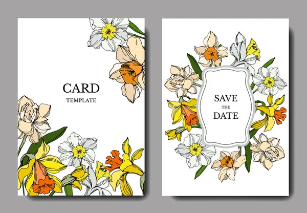 Vetor Narciso flor botânica floral. Tinta gravada a preto e branco. Casamento cartão de fundo borda decorativa . —  Vetores de Stock