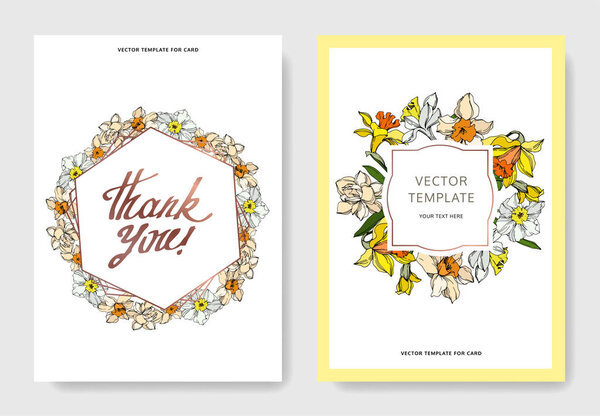 Вектор Нарцисс цветочный ботанический цветок. Черно-белый рисунок чернил. Декоративная граница свадебной карточки
.