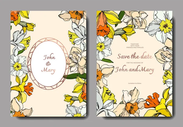 Vetor Narciso flor botânica floral. Tinta gravada a preto e branco. Casamento cartão de fundo borda decorativa . — Vetor de Stock