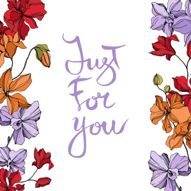 Orkide çiçek botanik çiçekleri. Siyah ve beyaz oyulmuş mürekkep sanatı. Çerçeve kenarlık süs karesi.