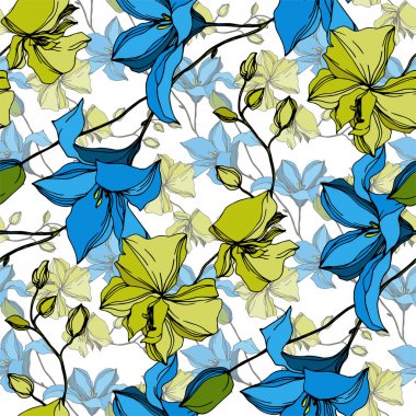 Vektör Orkide çiçek botanik çiçekler. Siyah ve beyaz oyulmuş mürekkep sanatı. Kesintisiz arka plan deseni.