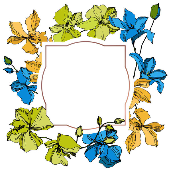 Vector Orchid floral botanical flowers. Black and white engraved ink art. Frame border ornament square.