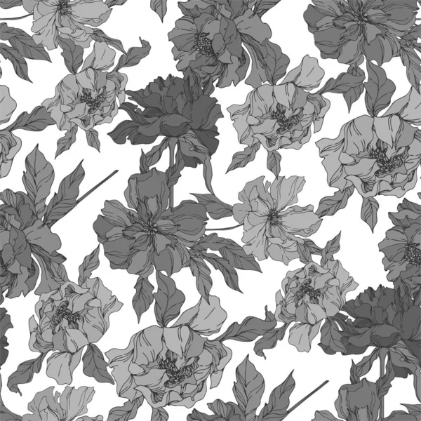 Peonía flores botánicas florales. Tinta grabada en blanco y negro. Patrón de fondo sin costuras . — Vector de stock