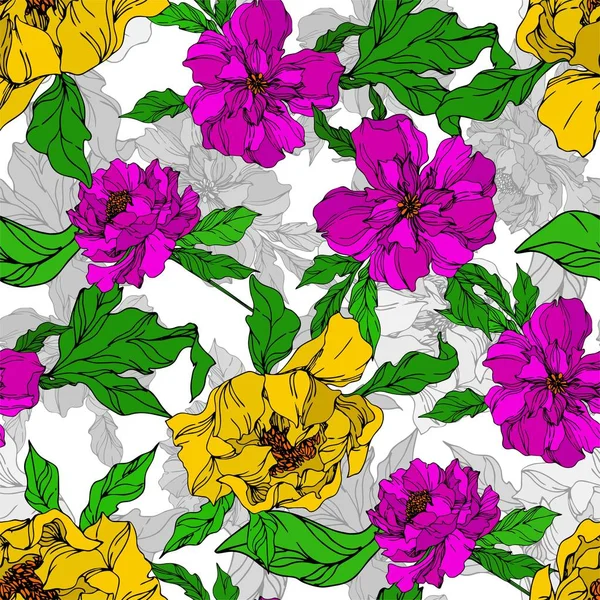 Bazsarózsa virágos botanikus virágok. Fekete-fehér vésett tinta Art. Folytonos háttérmintázat. — Stock Vector