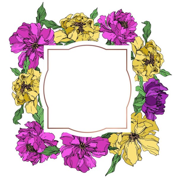 Пион цветочные ботанические цветы. Черно-белый рисунок чернил. Граничный орнамент
.