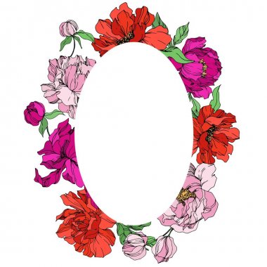 Şakayık çiçekbotanik çiçekleri. Siyah ve beyaz oyulmuş mürekkep sanatı. Çerçeve kenarlık süs karesi.