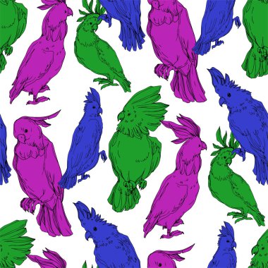 Vector Sky bird cockatoo in a wildlife. Black and white engraved ink art. Seamless background pattern. clipart