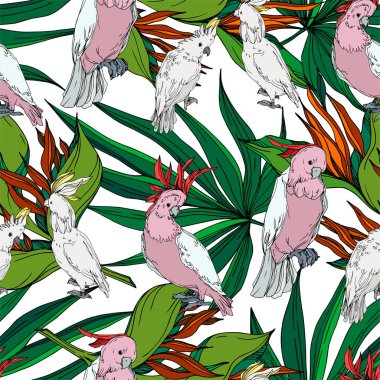 Vector Sky bird cockatoo in a wildlife. Black and white engraved ink art. Seamless background pattern. clipart