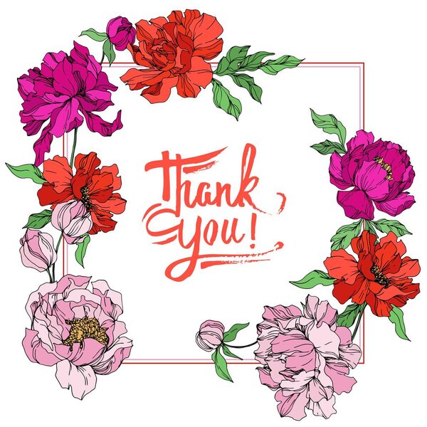 Цветки розового пиона с зелеными листьями изолированы на белом фоне. Оформление рамы. Спасибо, каллиграфия.
