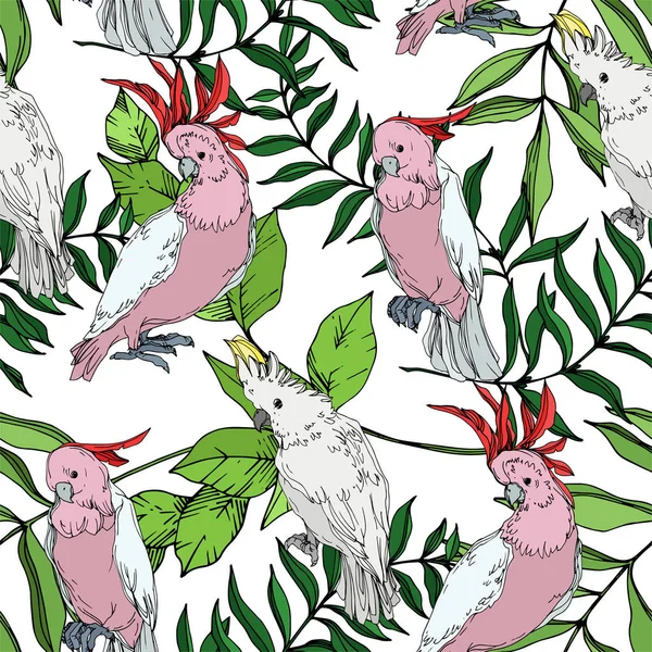 Vektorhimmelvogel Kakadu in einer Tierwelt. Schwarz-weiß gestochene Tuschekunst. nahtloses Hintergrundmuster. — Stockvektor