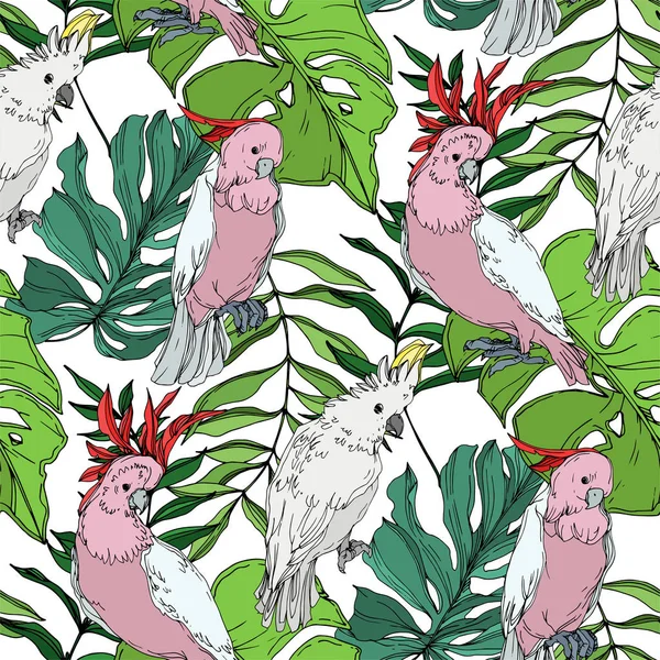 Vektorhimmelvogel Kakadu in einer Tierwelt. Schwarz-weiß gestochene Tuschekunst. nahtloses Hintergrundmuster. — Stockvektor