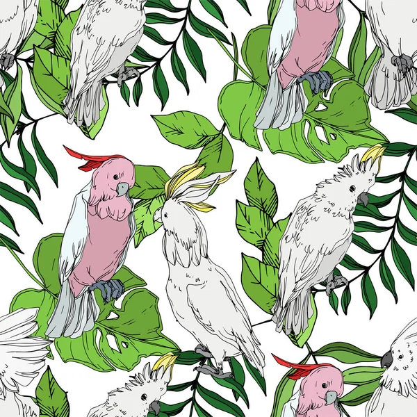 Vector Sky bird cockatoo in a wildlife. Black and white engraved ink art. Seamless background pattern. — Stock Vector