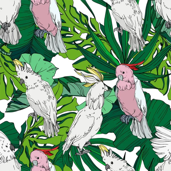 Vector Sky Bird kakadua i ett djurliv. Svart och vit graverad bläck konst. Sömlöst bakgrundsmönster. — Stock vektor