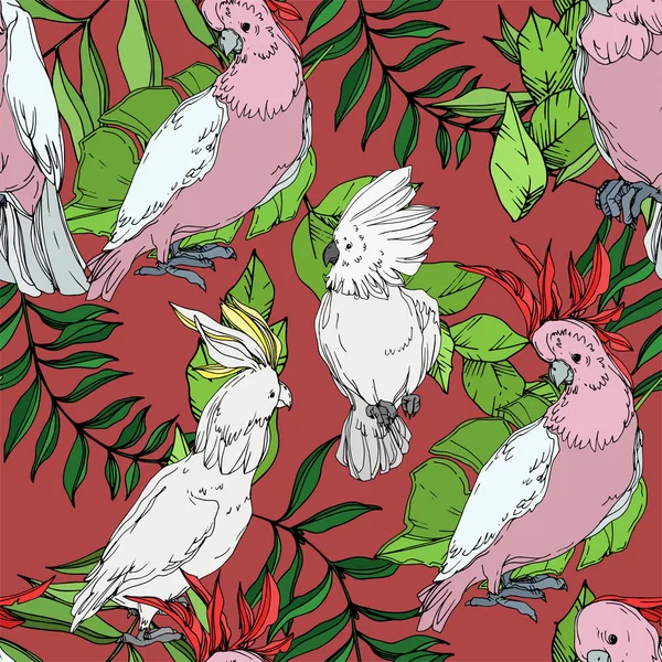 Vector Sky Bird kakadua i ett djurliv. Svart och vit graverad bläck konst. Sömlöst bakgrundsmönster. — Stock vektor