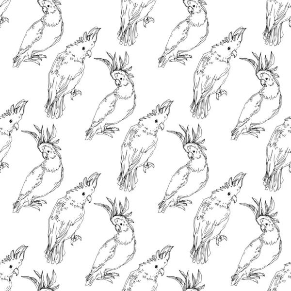 Vector Sky bird cockatoo in a wildlife. Black and white engraved ink art. Seamless background pattern. — Stock Vector