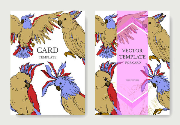 Vector Sky bird cockatoo in a wildlife. Black and white engraved ink art. Wedding background card decorative border.