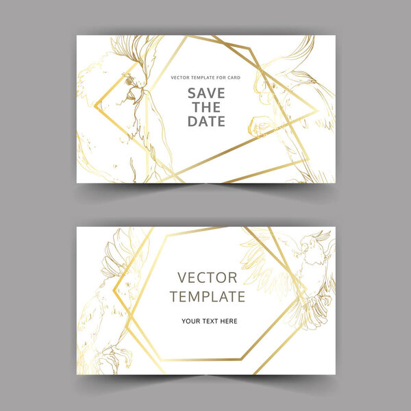 Векторный небесный какаду в дикой природе. Черно-белый рисунок чернил. Декоративная граница свадебной карточки
.