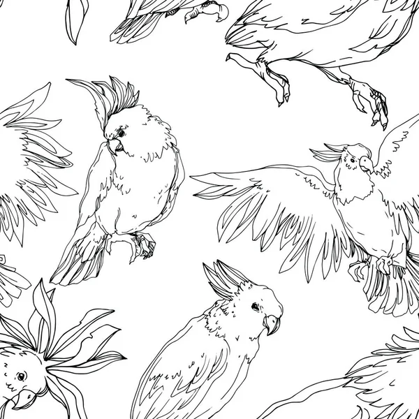 Vector Sky pták kakadu v divočině izolované. Černobílý rytý inkoust. Bezproblémové pozadí vzor. — Stockový vektor