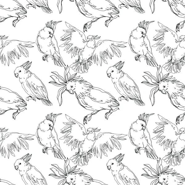 Vector Sky bird cockatoo in a wildlife isolated. Black and white engraved ink art. Seamless background pattern. — Stock Vector