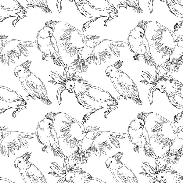 Vector Sky bird cockatoo in a wildlife isolated. Black and white engraved ink art. Seamless background pattern.
