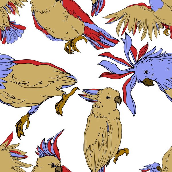 Vector Sky bird cockatoo in a wildlife isolated. Black and white engraved ink art. Seamless background pattern.