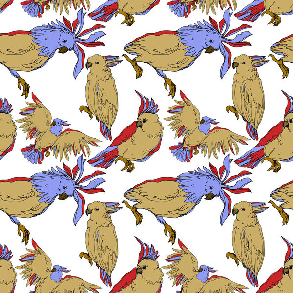 Vector Sky bird cockatoo in a wildlife isolated. Black and white engraved ink art. Seamless background pattern.