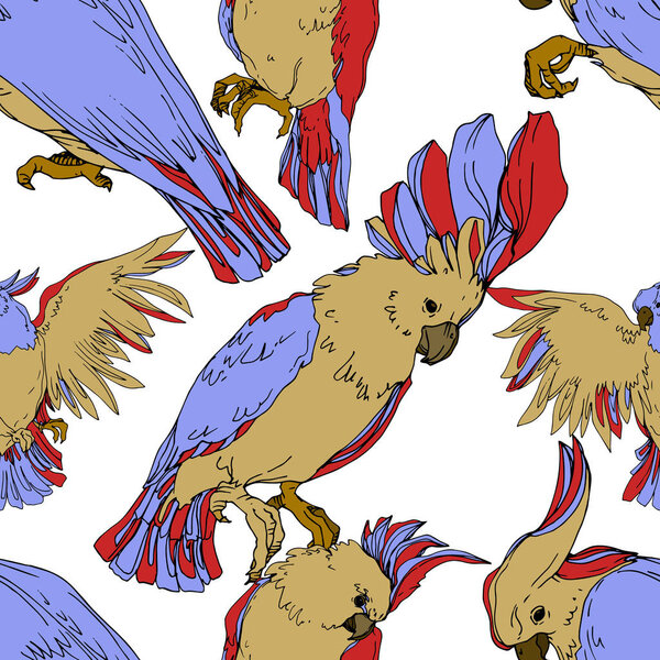 Vector Sky bird cockatoo in a wildlife isolated. Black and white engraved ink art. Seamless background pattern.