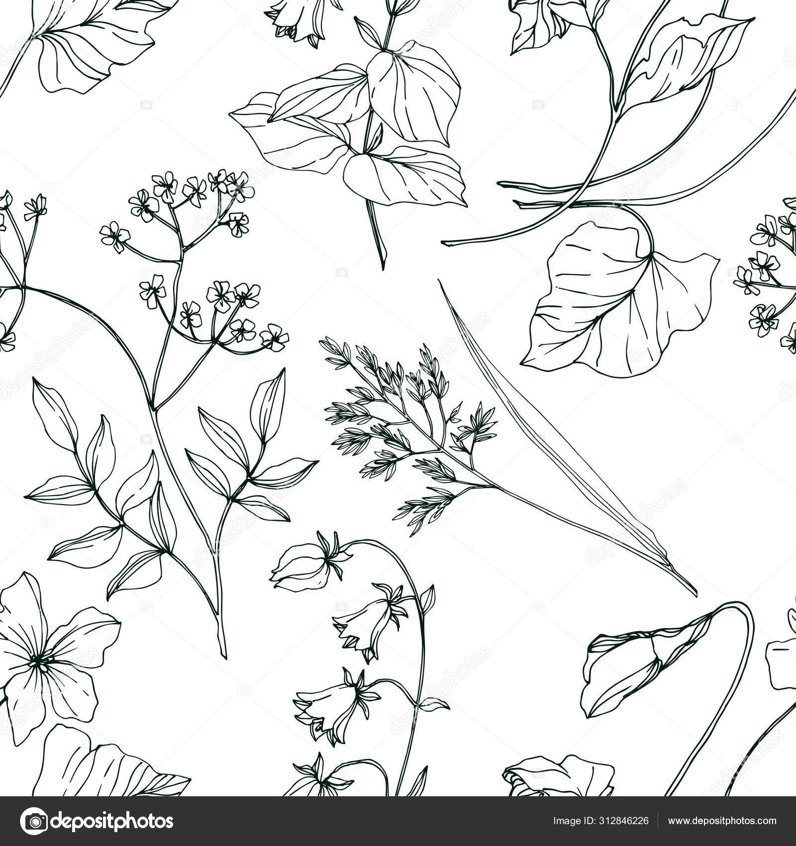 Vector Wildflowers Floral Botanical Flowers Black And White Engraved Ink Art Seamless Background Pattern Stock Vector Image By C Andreyanush