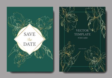 Vektör Iris çiçek botanik çiçekler. Siyah ve beyaz oyulmuş mürekkep sanatı. Düğün arka plan kartı dekoratif sınır.