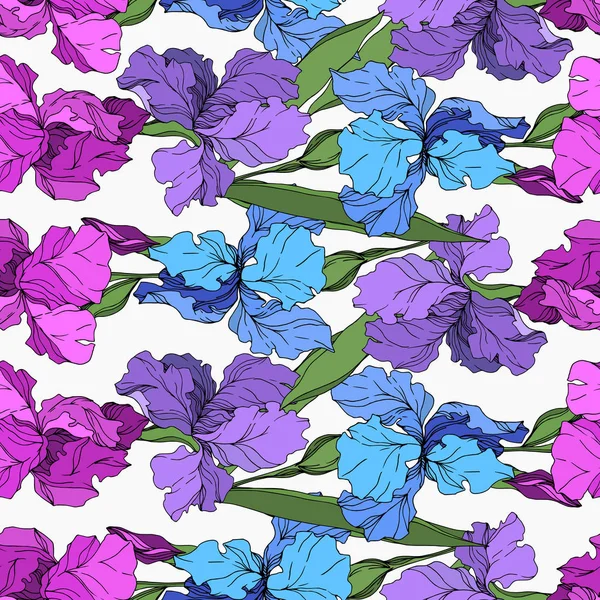 Vector Iris flores botânicas florais. Tinta gravada a preto e branco. Padrão de fundo sem costura . —  Vetores de Stock