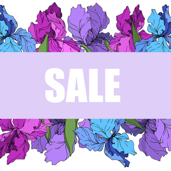 Векторные ирис цветочные ботанические цветы. Черно-белый рисунок чернил. Граничный орнамент
.