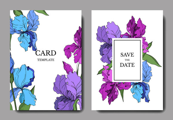 Векторные ирис цветочные ботанические цветы. Черно-белый рисунок чернил. Декоративная граница свадебной карточки
.