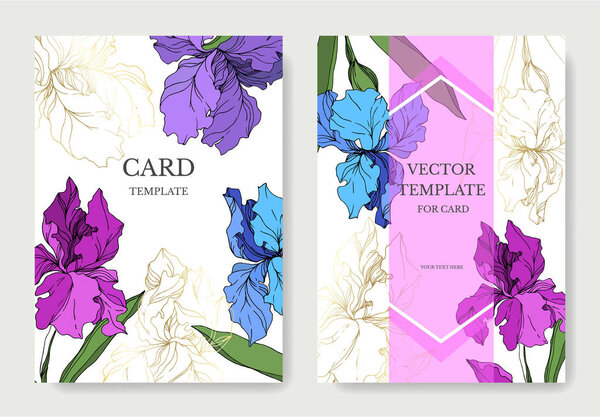 Vector Iris floral botanical flowers. Black and white engraved ink art. Wedding background card decorative border.