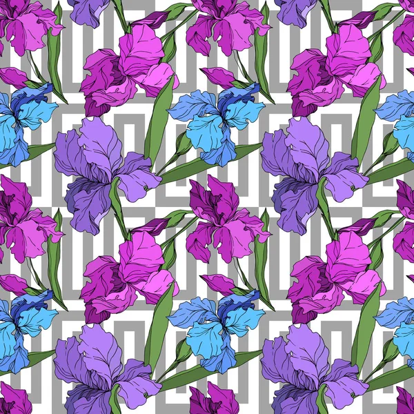 Vector Iris flores botánicas florales. Tinta grabada en blanco y negro. Patrón de fondo sin costuras . — Vector de stock