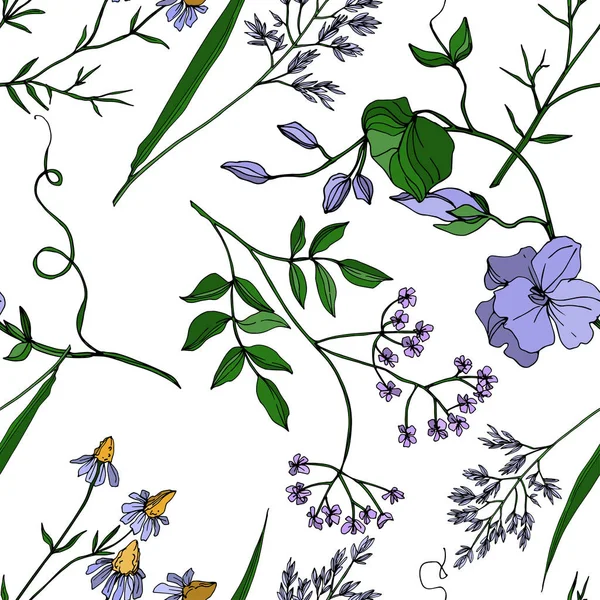 Vector Wildflowers flores botánicas florales. Tinta grabada en blanco y negro. Patrón de fondo sin costuras . — Vector de stock