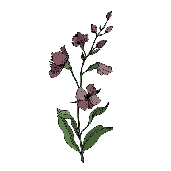 Vector Wildflower flores botânicas florais. Tinta gravada a preto e branco. Isolado elemento ilustração flor . —  Vetores de Stock